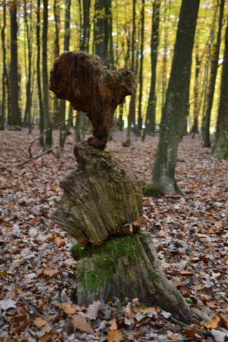 Holz in Balance