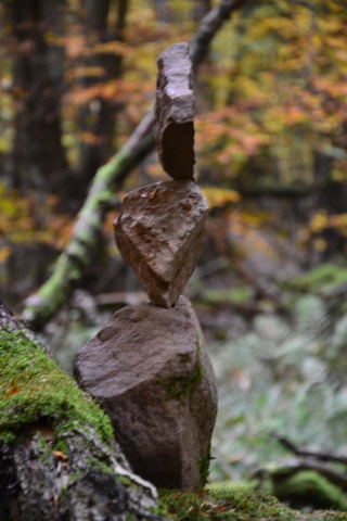 Balance im Wald