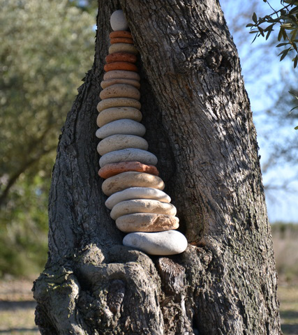 Steine im Olivenbaum4