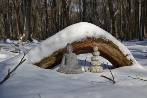 Buddha im verschneiten Wald