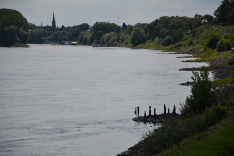 Steinkreis am Rhein
