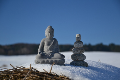 Buddha in Balance